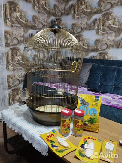 Клетка для попугая бу