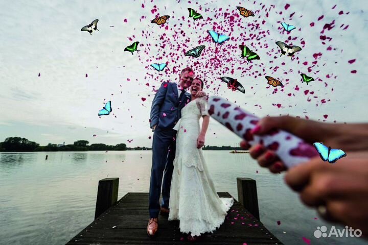 Салют из Живых Тропических Бабочек с/б-7