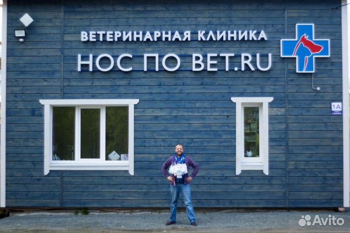 Ассистент ветеринарной клиники