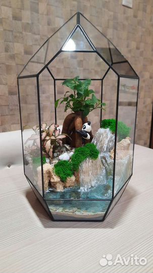 Флорпариум с влаголюбивыми цветами