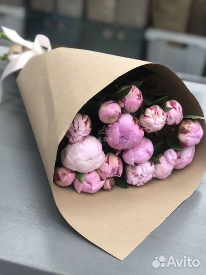 Цветы пионы