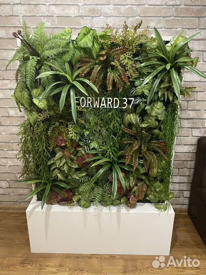 Перегородка в салон красоты