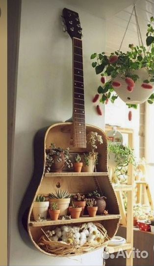 Суккуленты в интерьере