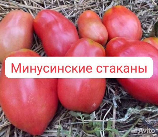 Семена томатов Сержант Пеппер