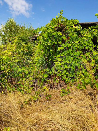 Участок 7,6 сот. (ИЖС)