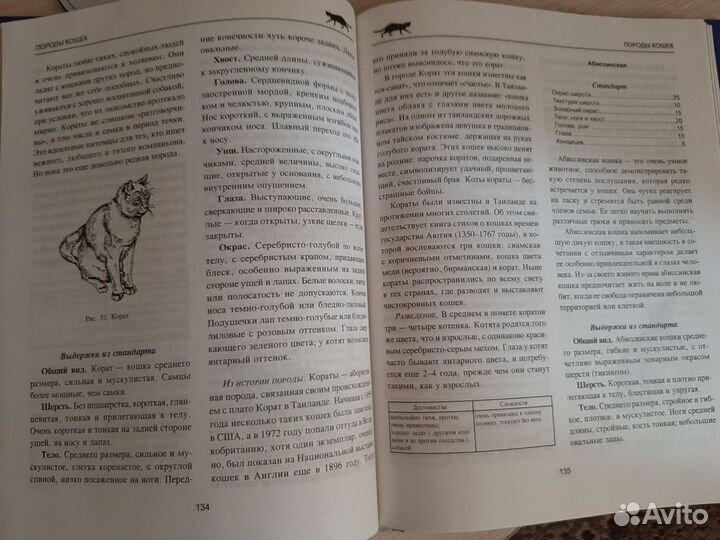 Энциклопедия 