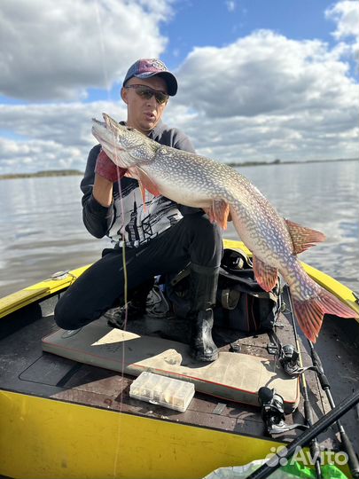 Рыбалка с гидом на реке Томь и Обь Гайдинг
