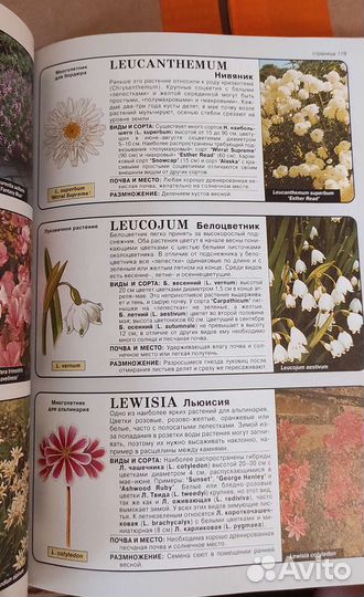 Книга справочник Всё о цветах Хессайон