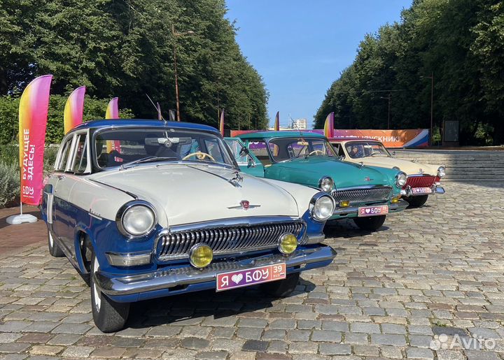 Аренда ретро автомобиля на свадьбу