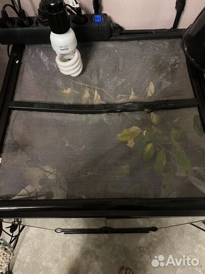 Террариум для хамелеона