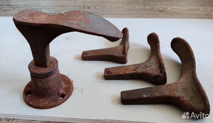 Лапа башмачника (сапожника)