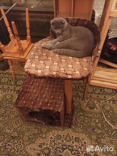 Домик для кошки с когтеточкой