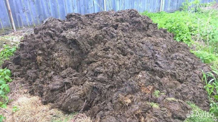 Навоз коровий