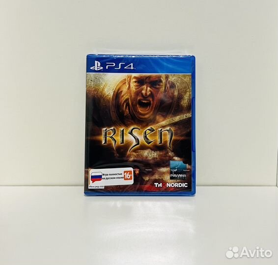 Risen PS4 PS5