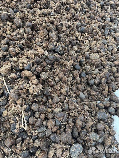 Навоз конский в мешках