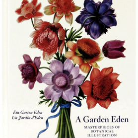 «A Garden Eden» / альбом о цветах и ботанике