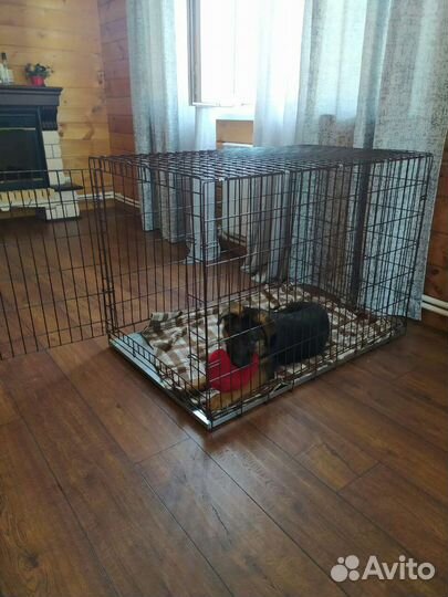 Клетка №5 для собак