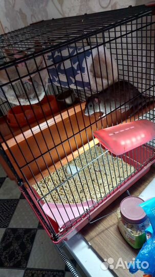 Полки для клетки