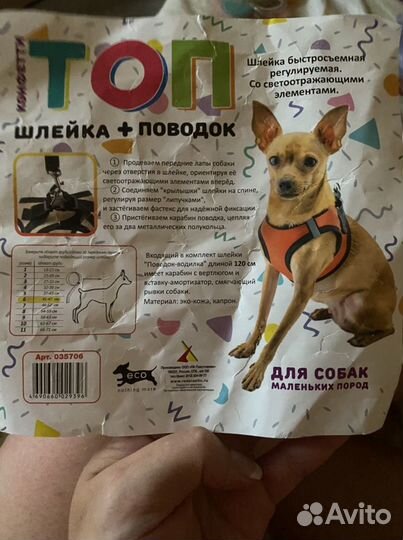 Шлейка с поводком для собак мелких пород