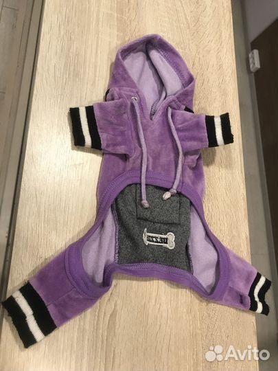 Одежда для собак