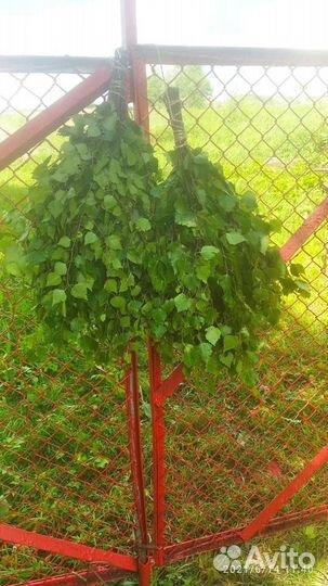 Банные веники