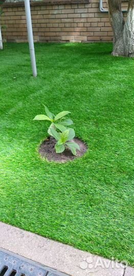 Трава ландшафтная в рулонах MC grass