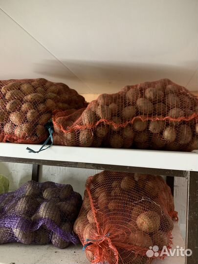 Овощи на корм животным