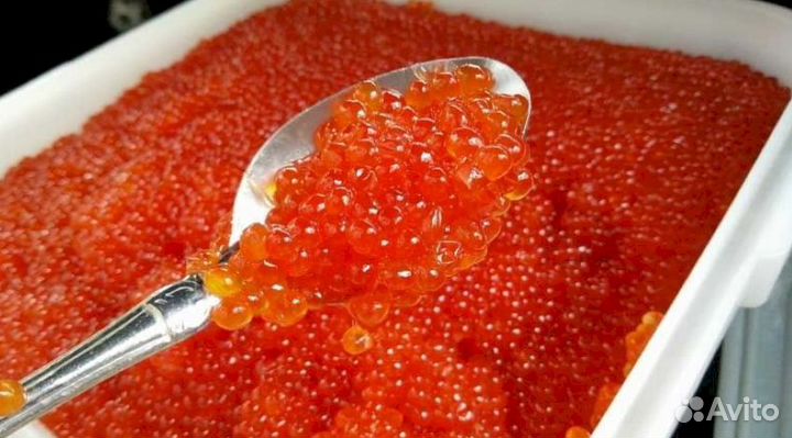 Красная икра оптом