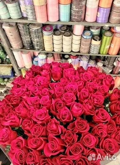 Розы Высокие 150см 160см 170см 180см 190см 2м