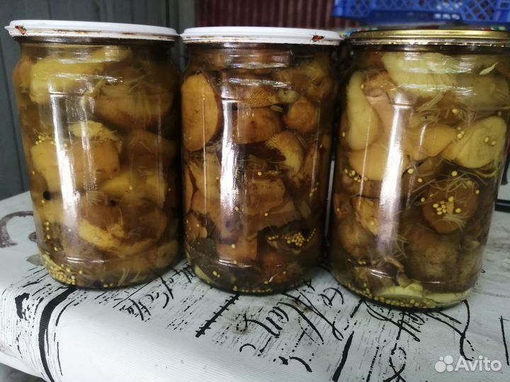 Продажа грибов
