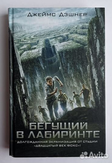 Книга Бегущий в лабиринте
