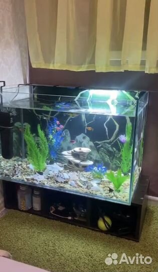 Аквариум