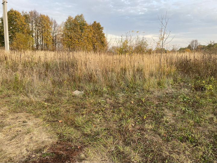 Участок 12 сот. (ИЖС)