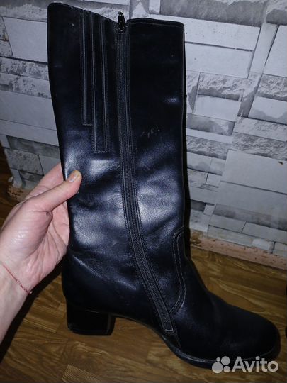Сапоги осень весна женские 36