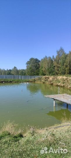 Продается готовый бизнес ферма (100 га земли)