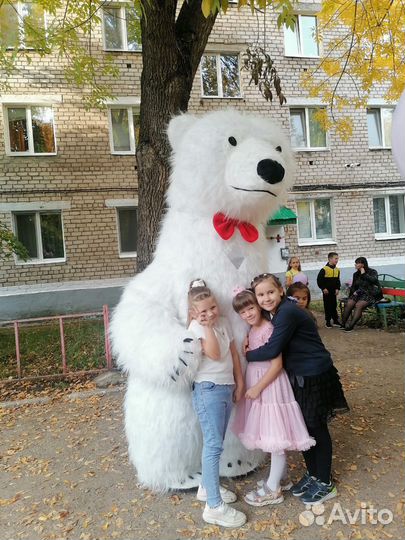 Белый мишка аниматоры