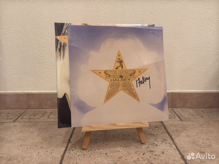 Винил холзи