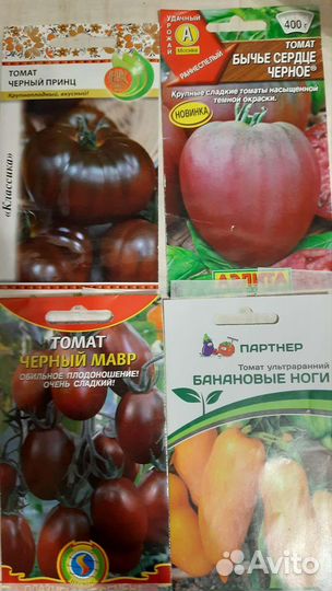 Рассада томатов