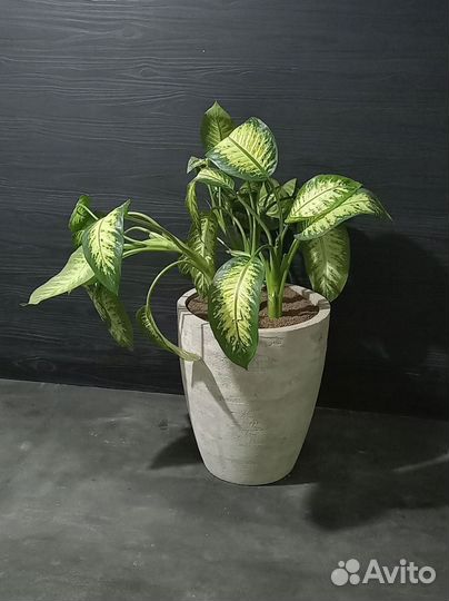 Горшки, Вазоны, Кашпо под заказ из бетона арт 120