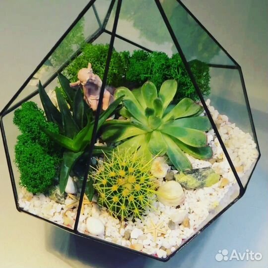 Флорариумы в наличии и на заказ