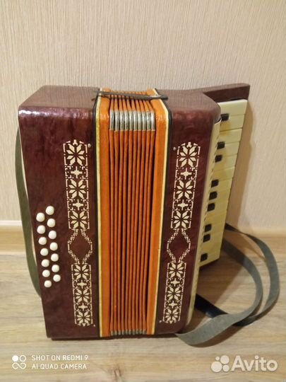 На доставке Аккордеон детский малыш