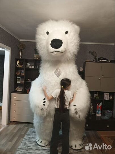 Медведь на праздник