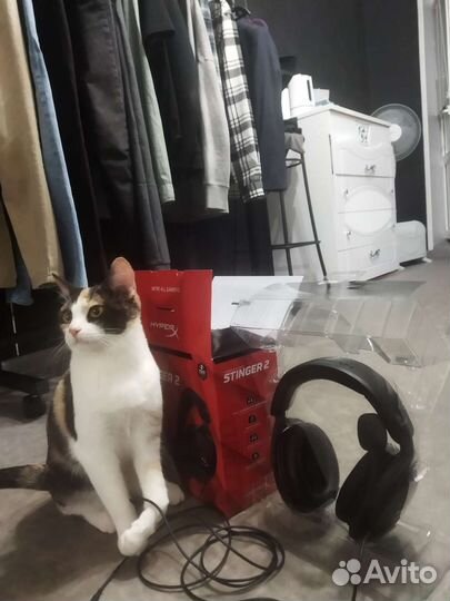 Наушники hyperx cloud stinger ll