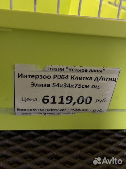 Волнистый попугай с клеткой