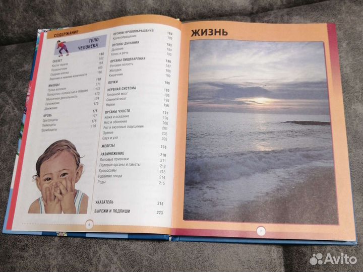 Энциклопедия 