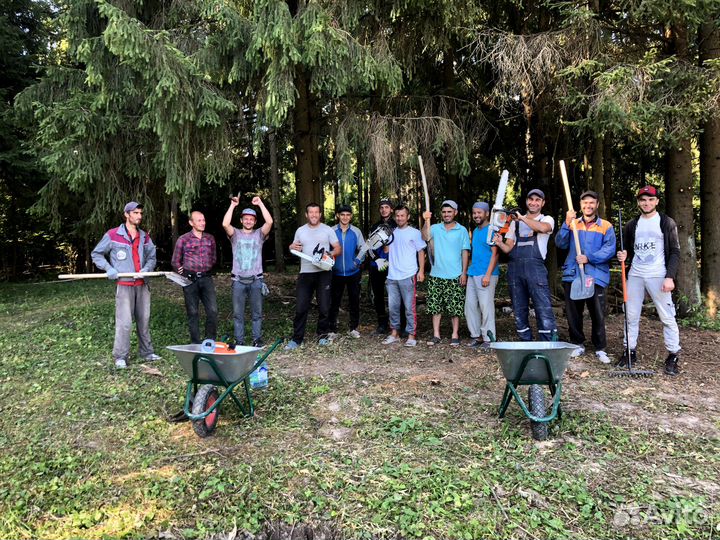 Расчистка участка от кустов, деревьев, борщевика