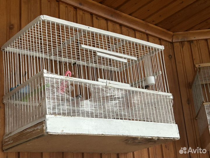 Клетка для птиц бу