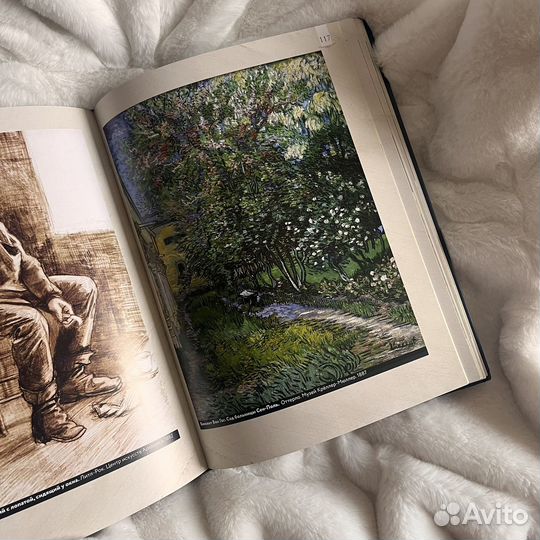 Паола Волкова. Винсент Ван Гог