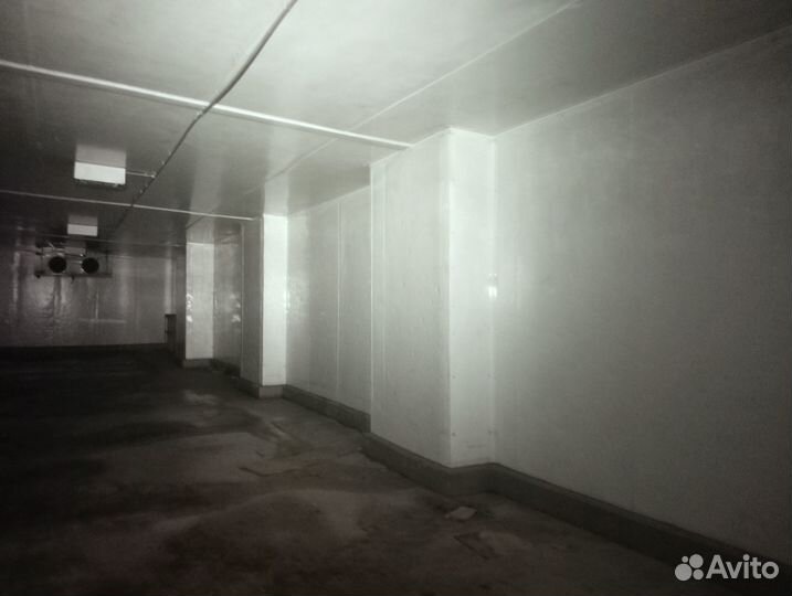 Холодильная камера 1350м3