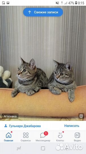 Моем окна. Быстро. Качественно